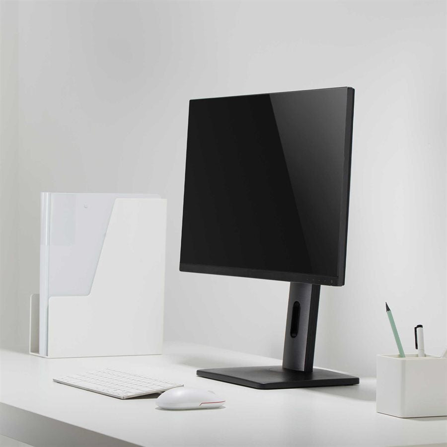 IntekView Support pour 1 écran sur pied ajustement facile